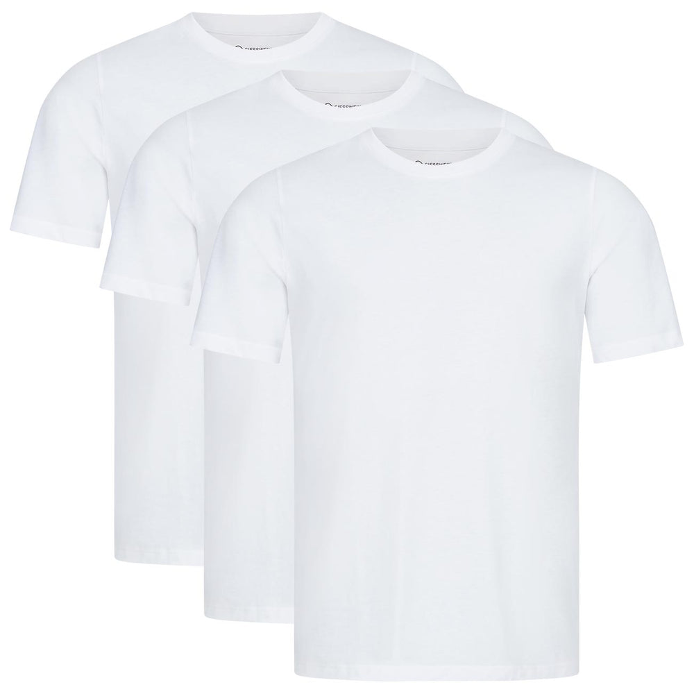 Giesswein | Organic T-Shirt Herren | Arcticwhite Giesswein | Organic T-Shirt Herren | Arcticwhite